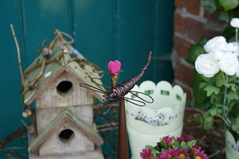 Libelle auf T�te gro�